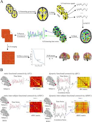 Characterizing the spatiotemporal features of functional connectivity across the white matter and gray matter during the naturalistic condition